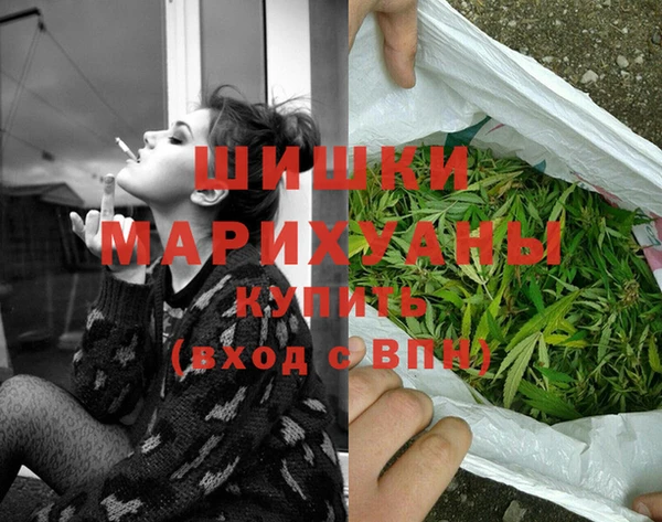 сатива Баксан