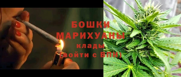 сатива Баксан
